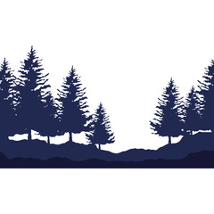 Fototapeta premium pines forest silhouette landscape
