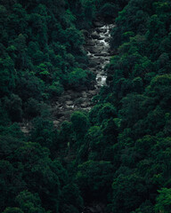 A picture of down stream flowing in the taken from Bisle Ghat view point, on 19/06/2022