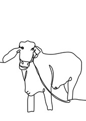 continuous line drawing - cow 