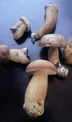 Boletus mushrooms on the table