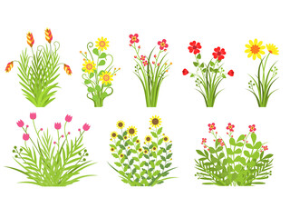 Color Floral  , Flowers and grass Leaves Spring Concept Flat Design Style .Vector illustration