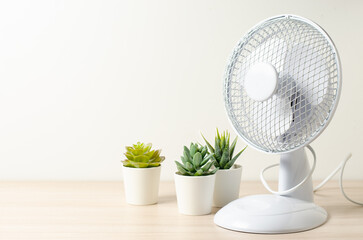 Table fan and succulent flowers. Closeup. Cooling in the room in hot weather