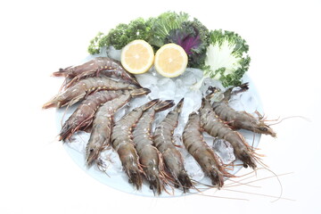 shrimp