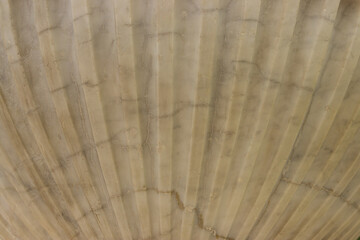 Fototapeta premium light marble stone as background