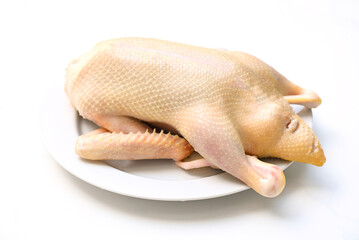 Raw duck on white background, Fresh duck meat for food, Whole duck on white plate