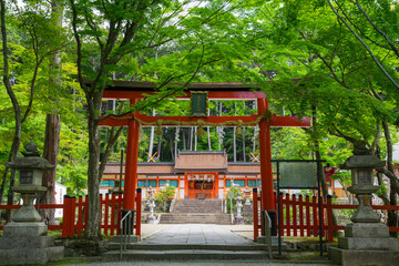 Fototapeta na wymiar 京都　大原野神社の鳥居と本殿　新緑