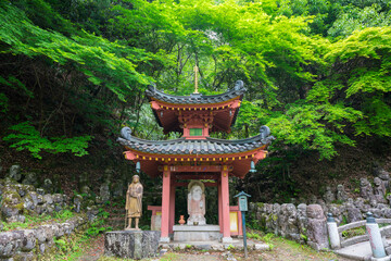 京都　愛宕念仏寺（おたぎねんぶつじ）の千二百羅漢　新緑