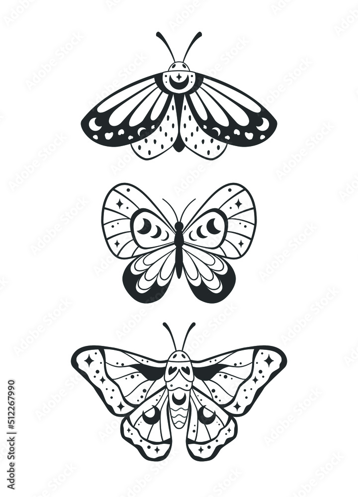 Poster set of three insects - butterflies and moths. vector illustration with a slotted pattern. this boho 