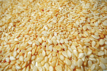 Close up macro shot of dried sesame seeds