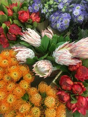 flowers in the market