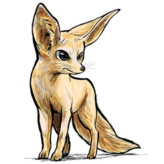 Fennec fox