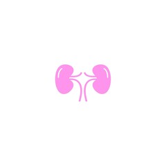 kidney vector illustration element logo