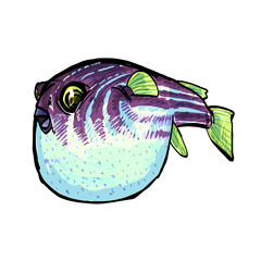 illustration of a pufferfish © Dosiado