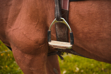 Close up of the rear girth of a horse's saddle