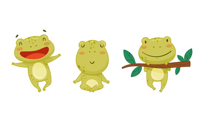 Green funny frog characters in different activities set. Cute toad amphibian animal cartoon vector illustration