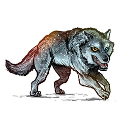 wolf