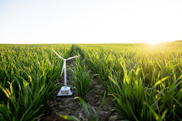 Toy wind generator on green wheat field on sunset. Concept of alternative energy and ecology