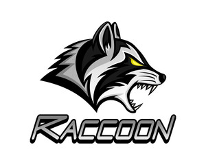 Animal raccoon icon isolated on white background. - 512273157