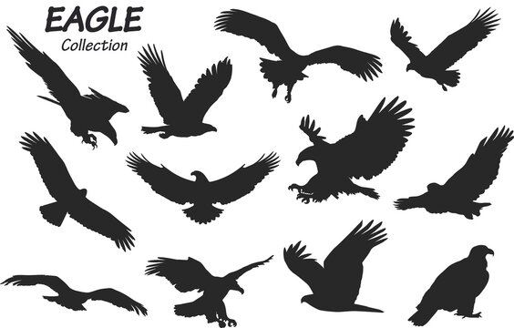 eagle silhouettes set