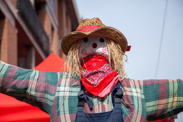 scarecrow in fields and meadows to scare seed-devouring birds