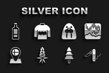 Set Lupine flower, Northern lights, Swiss army knife, Tree, Location flag Iceland, Walrus animal, Bottle of vodka and Sweater icon. Vector