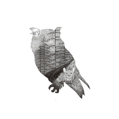 Owl illustration on white background. Hand made. Ink drawing.