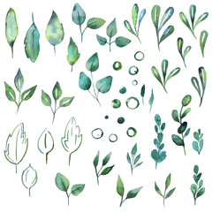 Set of watercolor design elements collection leaves, golden branches, botanical illustration isolated on white background