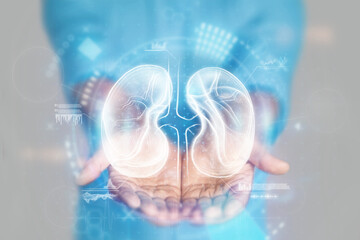Medical concept, doctor's hands in a blue coat close-up. Ultrasound of the kidneys, x-ray,...