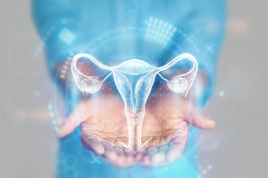 Medical concept, doctor's hands in a blue coat close-up. Ultrasound of the uterus, x-ray, hologram. Medical care, woman anatomy, doctor's appointment, reproductive system. mixed media.