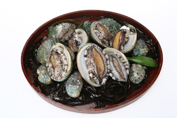 abalone