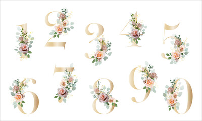 Floral Number. Set digits with a botanical bouquet. Vector illustration. - 512284556