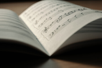 Fototapeta premium Notebook, writing music, selective focus