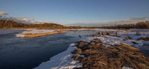 March sunny evening by the river. Blue sky over the horizon. A picturesque landscape, early spring, a river with snow-covered banks, dry grass and bushes. The first thaws, the snow is melting