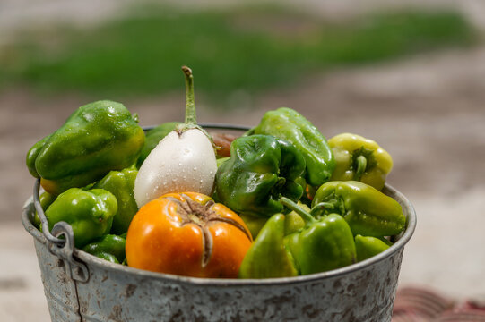 These vegetables are in a tin bucket.