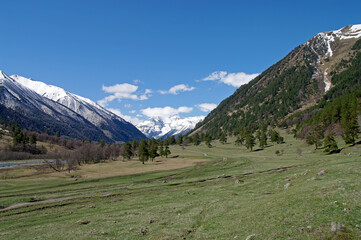 Fototapeta na wymiar Spring in the Caucasian mountains.