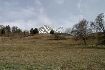 Spring in the Caucasian mountains.