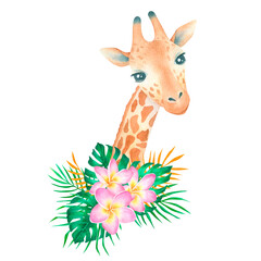 Watercolor cute giraffe with tropical bouquet frangipani composition on white background african poster for desing