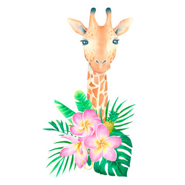 Watercolor cute giraffe with tropical bouquet frangipani composition with palm leaves and pineapple on white background exotic poster for desing
