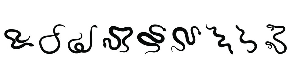 Snake icon vector set. cobra illustration sign collection. anaconda symbol.