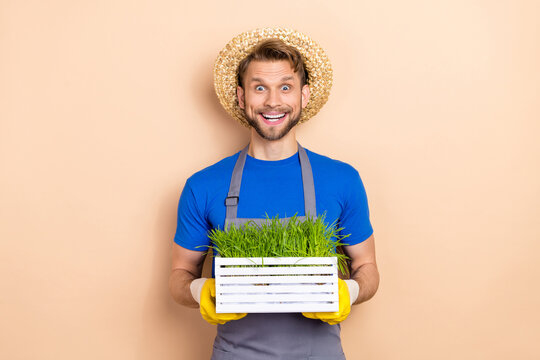 Photo of young cheerful man hold green plant horticulture nature isolated over beige color background