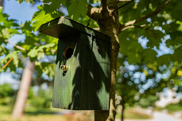 ring in a bird feeder