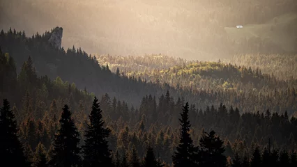 Photo sur Plexiglas Forêt dans le brouillard Coucher de soleil dans les montagnes Rarau, Carpates orientales, Roumanie.