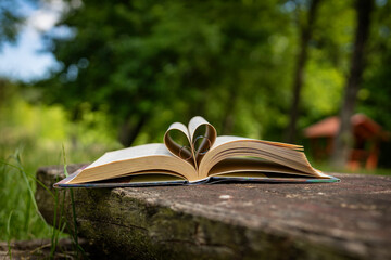 open book on green grass