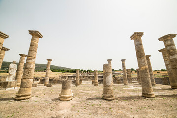 Ancient Roman ruins of Baelo Claudia on the beaches of Bolonia, Cadiz, Spain.