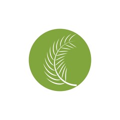 Fototapeta na wymiar Palm tree leaf illustration logo template vector design