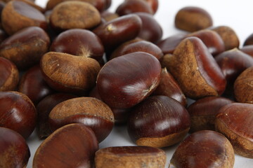 chestnut
