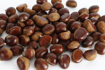 chestnut