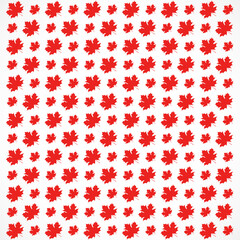 pattern of Red maple leaves on white background. texture template in autumn leaves
