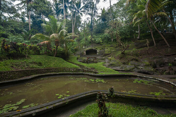 Fototapeta na wymiar Garden in Pura Goa Gajah, Bali, Indonesia