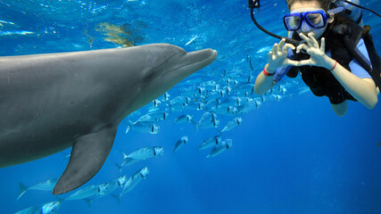 bottlenose dolphin and coral reef and girl diver